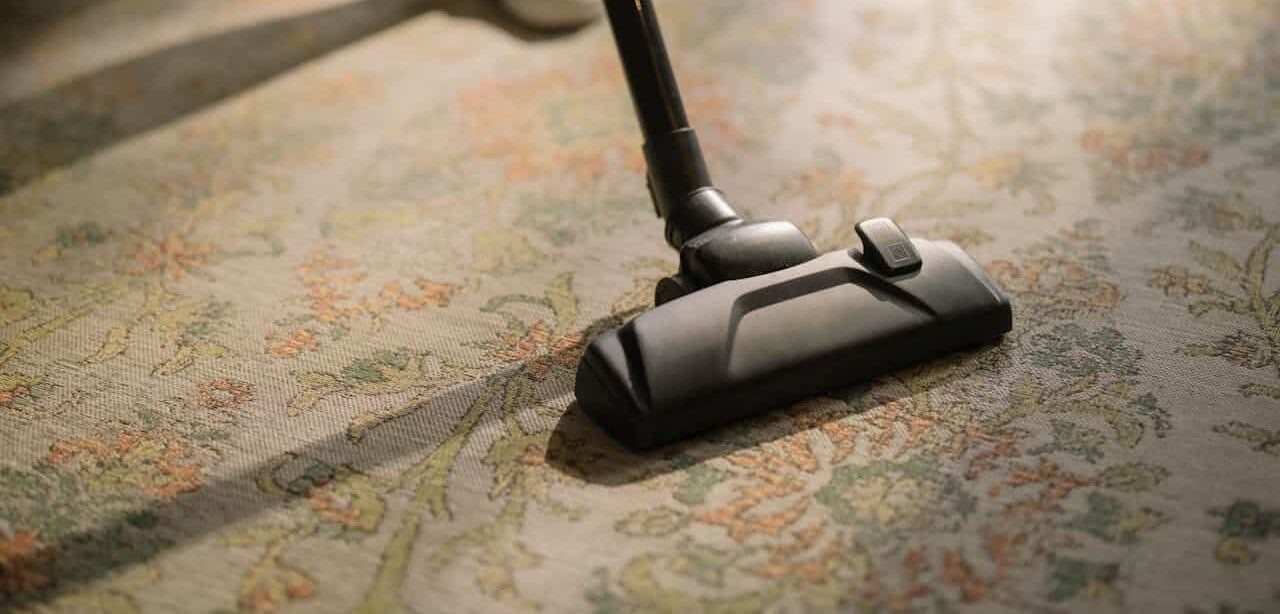 Professional rug cleaning in progress — technician using hot water extraction on a wool area rug in a Melbourne home